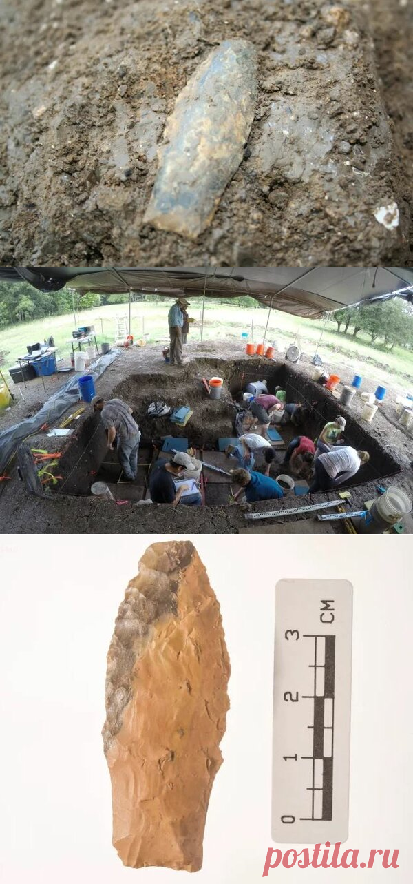 Наконечники копий, обнаруженные в Техасе, являются старейшим оружием, найденным в Северной Америке | Fraid | Яндекс Дзен