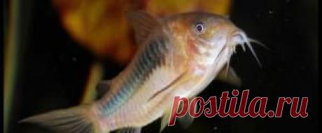 Мирный - Part 2