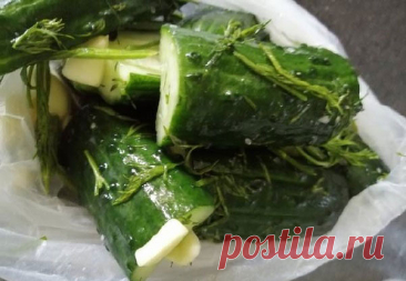 Малосольные огурцы в пакете — Домашняя кулинария