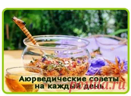 Советы Аюрведы на каждый день 

1. После пробуждения выпейте один стакан или больше прохладной питьевой воды. Это стимулирует кишечник и нормализует стул. 
2. Утром после пробуждения следует принять душ (лучше с головой) для очищения тонкого тела ума и тела праны. 
3. Утром, после душа, полезно для организма выполнять статические упражнения (асаны из хатха-йоги, либо другие спокойные упражнения). 
4. После чистки зубов для профилактики пародонтоза и стимуляции кровообращен...