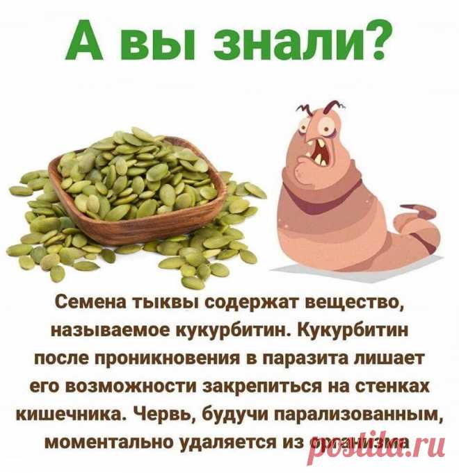 Тыквенные семечки от паразитов