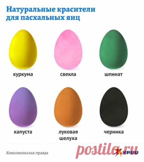 Как правильно красить, хранить и есть пасхальные яйца: советы врача-диетолога - KP.Ru