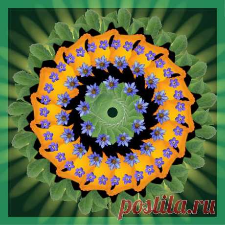 Мандала - хоровод незабудок

Digital Flower Mandala  Free Stock Photo HD - Public Domain Pictures