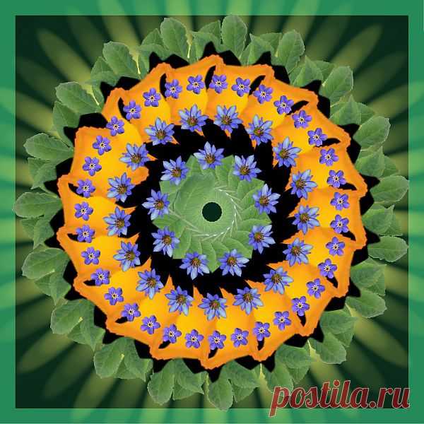 Мандала - хоровод незабудок

Digital Flower Mandala  Free Stock Photo HD - Public Domain Pictures