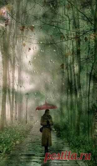 Найдено на сайте chinacamera.com.cn.