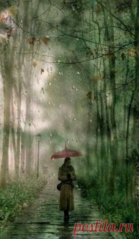 Найдено на сайте chinacamera.com.cn.