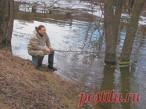 Вести с водоемов из Подмосковья Несмотря на заходы холода, в столичном регионе все водоемы почти на месяц раньше срока окончательно освободились от ледового покрова, который в нынешнем