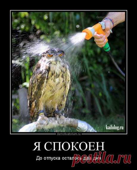 Демотиваторы про лето и отпуск | Сайт Союза Юмористов