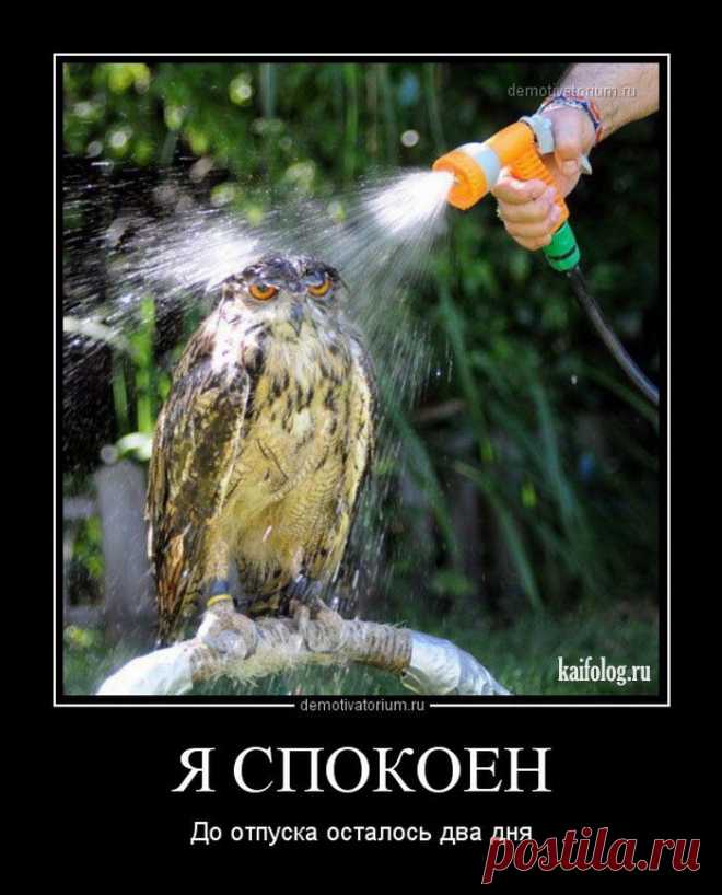 Демотиваторы про лето и отпуск | Сайт Союза Юмористов