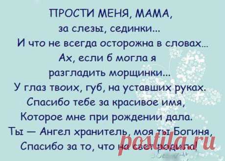 (1) Одноклассники