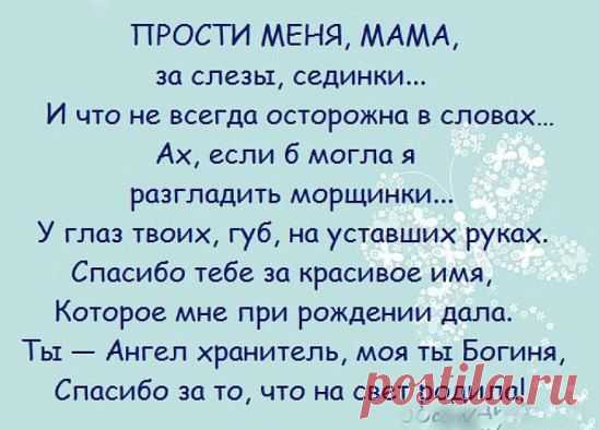 (1) Одноклассники