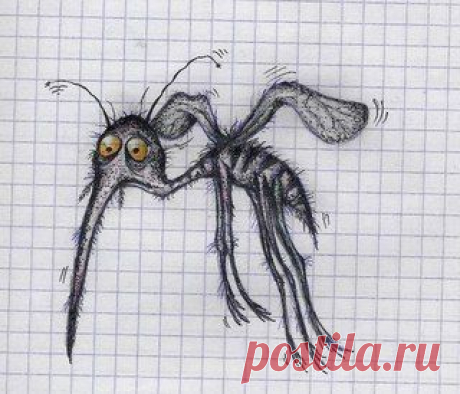 НАТУРАЛЬНЫЕ СПОСОБЫ БОРЬБЫ С КОМАРАМИ