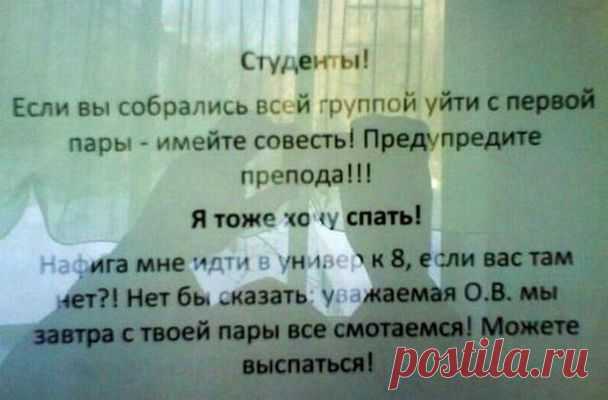 Минутка смеха: курьезы и маразмы в объявлениях - Новости журнала - Телеграф - Страница 46