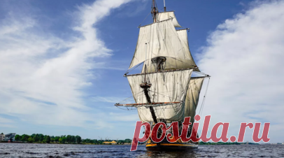 Посольство России в Мадриде: экипаж фрегата «Штандарт» не запрашивал содействия. Экипаж фрегата «Штандарт», которому власти Франции и Испании не дали разрешения зайти в свои порты, не обращался за содействием в посольство России в Мадриде. Читать далее