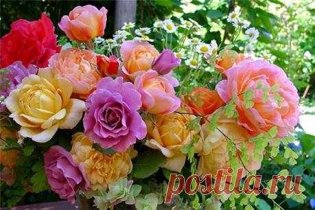 С добрым утром! 😊