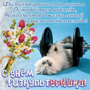 День физкультурника!
Чтобы быть здоровым, крепким,
Физкультура в помощь всем.
С праздником вас поздравляю,
Пусть живется без проблем!