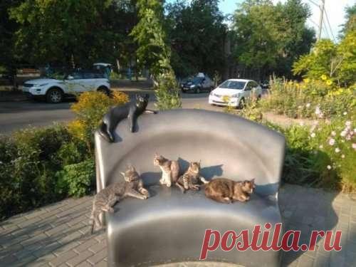 Подборка позитивных картинок и фоток  (26 шт) . Тут забавно !!!