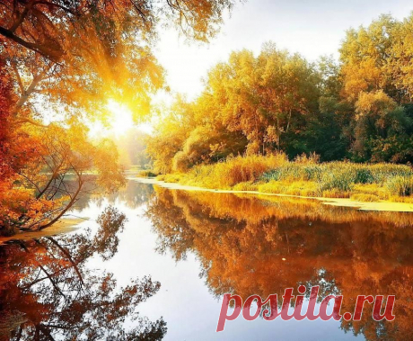 Мой Мир@Mail.Ru