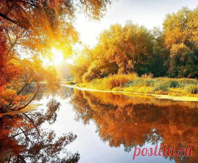 Мой Мир@Mail.Ru