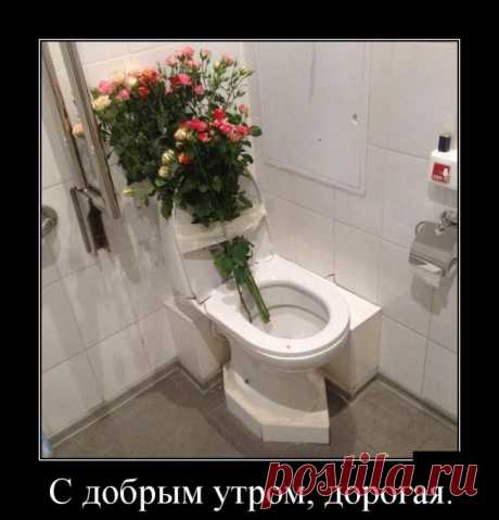 Демотиваторы - приколы