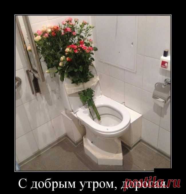 Демотиваторы - приколы