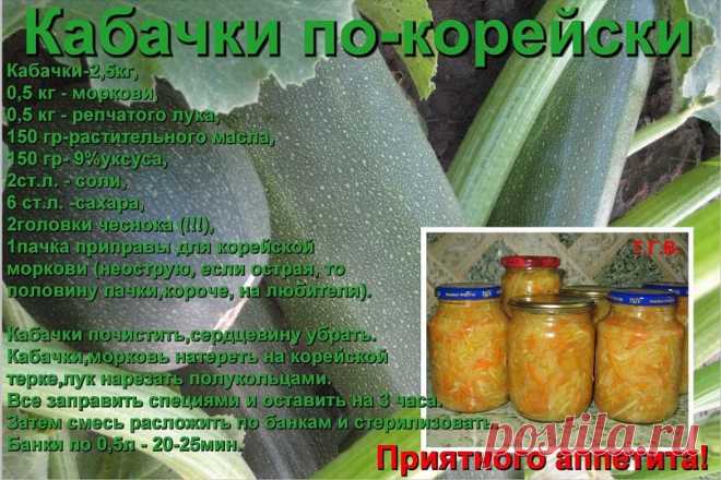 погребок | 37 фотографий