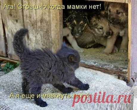 Откровенность