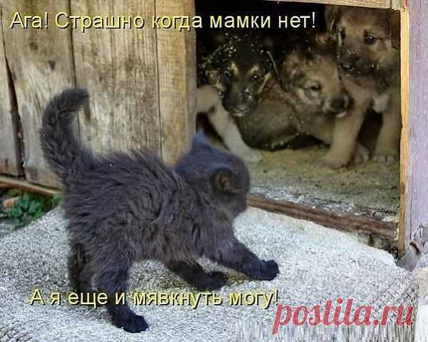Откровенность