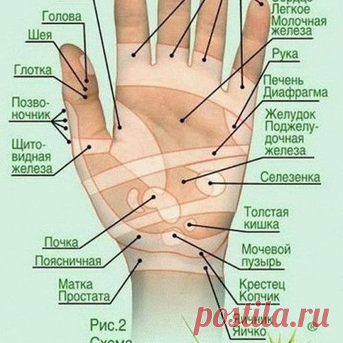 ТАЙНАЯ СИЛА ПАЛЬЦЕВ…