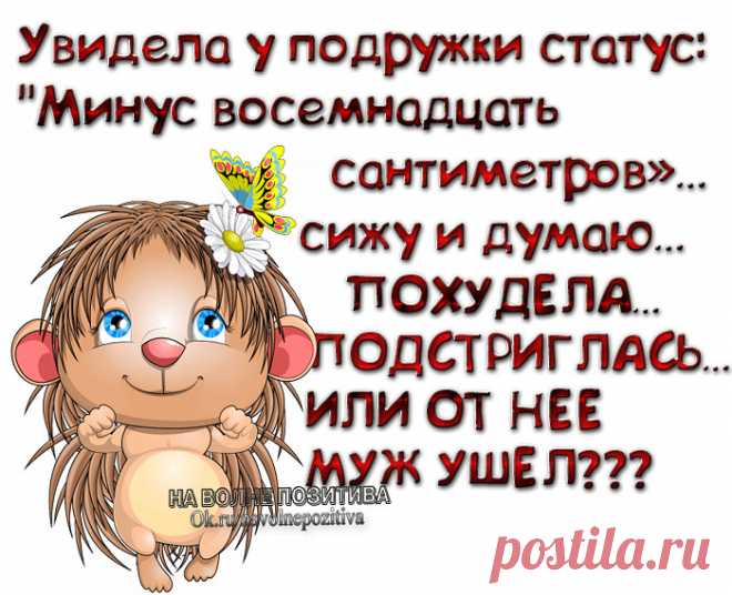 Позитив накануне Старого Нового года...улыбнемся друзья.