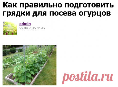Как правильно подготовить грядки для посева огурцов - Садоводка