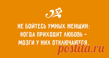 фитнес для мозга: 24 тыс изображений найдено в Яндекс.Картинках