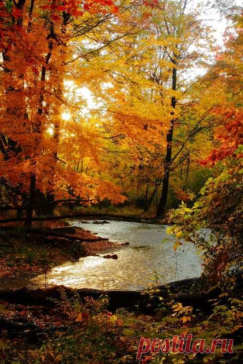 Nearly Autumnal