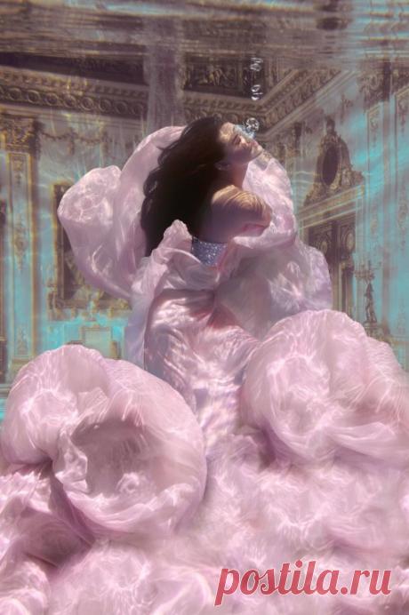 Красивые подводные фотографии (10 фото)