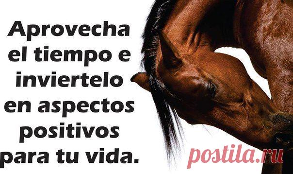 Используй время с пользой и трать его на положительные моменты жизни / Изучаем Испанский