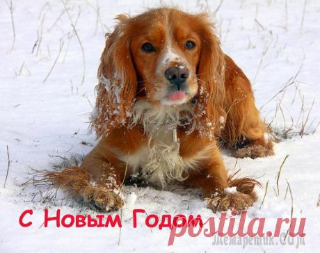 Фотомгновения 2018 Январь Чатыр-Даг ДемерджиФевраль ВьетнамМарт Крым. Весна в горах. Чатыр-ДагАпрельДолина реки Сотера. Водопад ГейзерАй-Петри. Водопад Учан-СуНикитский Ботанический сад - парад тюльпановАю-Даг (Медведь-...