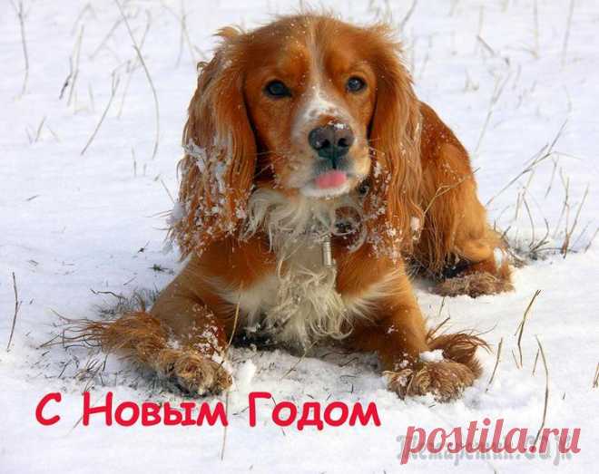 Фотомгновения 2018 Январь Чатыр-Даг ДемерджиФевраль ВьетнамМарт Крым. Весна в горах. Чатыр-ДагАпрельДолина реки Сотера. Водопад ГейзерАй-Петри. Водопад Учан-СуНикитский Ботанический сад - парад тюльпановАю-Даг (Медведь-...