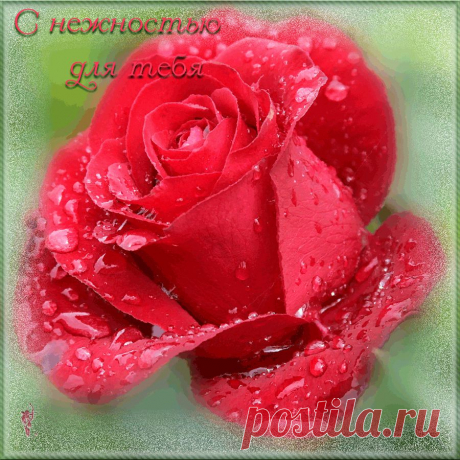 0_99bef_a824e787_orig (900×900)