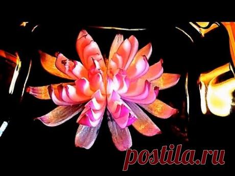 3 Способа сделать цветы из лука - Украшения из овощей & Карвинг лука - Украшения салатов и блюд