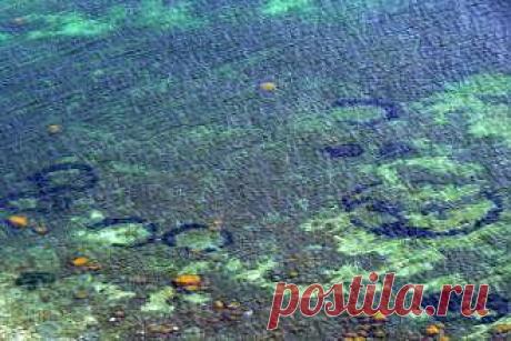 Ведьмины круги на дне Балтики - свежие новости Украины и мира