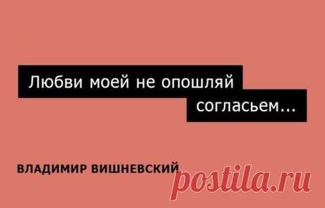 Искромётные одностишия Владимира Вишн / Взлом логики