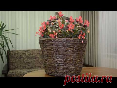 Кашпо из бетона