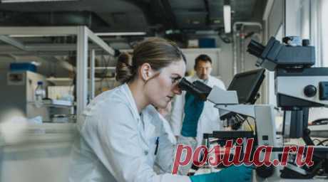 «Продуманный дизайн молекулы»: учёные синтезировали противораковые соединения на основе палладия. Российские учёные создали противораковые вещества на основе палладия — драгоценного металла платиновой группы. Полученные соединения обладают высокой противоопухолевой активностью в отношении раковых клеток. Учёные подтвердили эффективность одного из веществ в экспериментах на мышах, которым были имплантированы фрагменты крайне агрессивной раковой опухоли человека — трижды негативного рака…