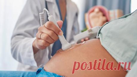 В России предложили отправлять в декрет с первого триместра беременности. Зампредседателя комиссии Общественной палаты РФ по демографии и защите семьи Наталья Москвитина заявила ТАСС, что введение декретного отпуска с первого триместра беременности, а также включение в трудовой стаж периода ухода за ребенком до ...