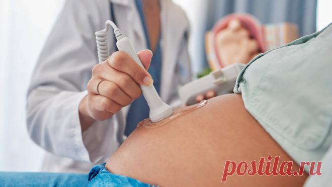 В России предложили отправлять в декрет с первого триместра беременности. Зампредседателя комиссии Общественной палаты РФ по демографии и защите семьи Наталья Москвитина заявила ТАСС, что введение декретного отпуска с первого триместра беременности, а также включение в трудовой стаж периода ухода за ребенком до ...