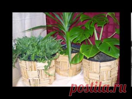 Варианты, как украсить цветочный горшок. Как украсить горшок своими руками