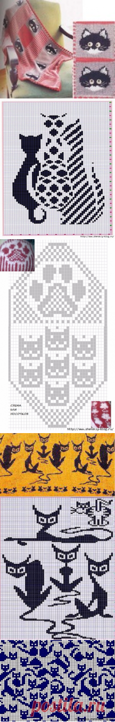 Большая подборка жаккардовых узоров с котиками!