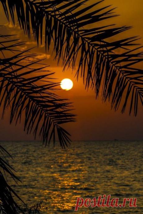 La Vida Es Demasiado Corta c/p Renunciar a Un Amanecer