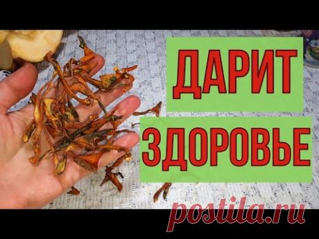 Первое лекарство в деревне. Ушли тромбы и купероз, сосуды эластичные. - YouTube