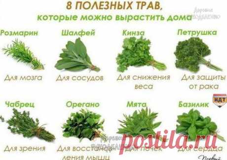 Новости